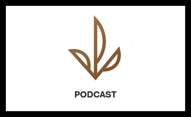 Check out Ep.5 – The Political and Business Landscape of Cannabis with Avis Bulbulyan